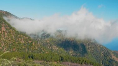 Corona Orman Doğal Parkı, Tenerife, Kanarya Adaları. Bulutların üzerinde, etrafındaki yüksek irtifada konumlanmış büyük bir orman. Volkana bin.