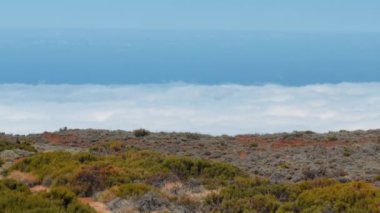 Alp manzarası. Bulutların üzerinde sonsuz genişlik. Çeşitli çöl bitkileri. Saf doğa kavramı.