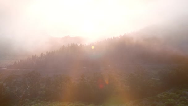 Amarillo amanecer brumoso en las montañas. Pintoresco paisaje con bosque de pinos y siluetas de montaña — Vídeos de Stock