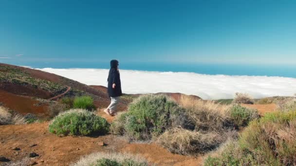 Młoda kobieta wolności otwórz ramiona na szczycie góry, motywacji i inspiracji ponad chmurami. Wspinaczka ramiona wyciągnięte na szczycie góry patrząc na inspirujący krajobraz. — Wideo stockowe