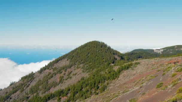スペインのテネリフェ島の低密度の雲と山のピークと緑の森の上のパラグライダー. — ストック動画