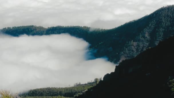 Bulut denizi ve orman olan güzel bir manzara. Vadinin üstünde bulutlardan oluşan bir deniz manzarası ve dağ sırtlarını kaplayan bir orman. — Stok video
