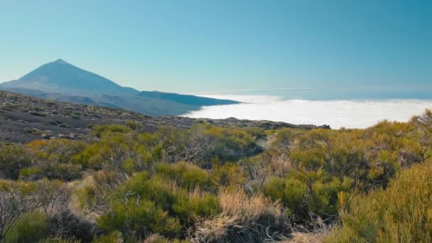 Above clouds after hard hike to the top of Teide volcano at Canary Islands. Hard one day hike to the top of volcano peak, view from above, bottom is hidden in clouds — ストック動画