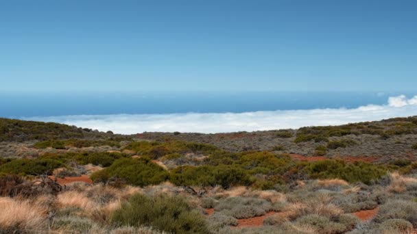 Kanarieöarna, utsikt från toppen av vulkanen. Kamera över molnen — Stockvideo