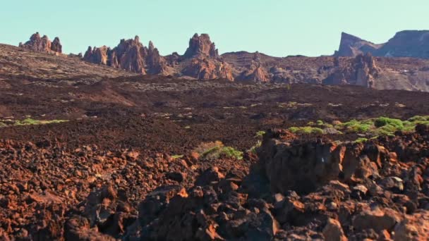 Letnia powierzchnia planety Mars, koncepcja. Czerwony kamienny pokrycie, wysoki górski i zielony krzak pustynny roślina. mogą być wykorzystane do zilustrowania kolonizacji Marsa, lądowania astronautów na egzoplanetach — Wideo stockowe