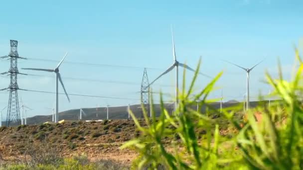 Windmühlen, Turbinen von elektrischen Generatoren. grüne Buschpflanzen im Vordergrund. Hochspannungsleitungen. das Konzept der grünen, erneuerbaren und sauberen Energie — Stockvideo