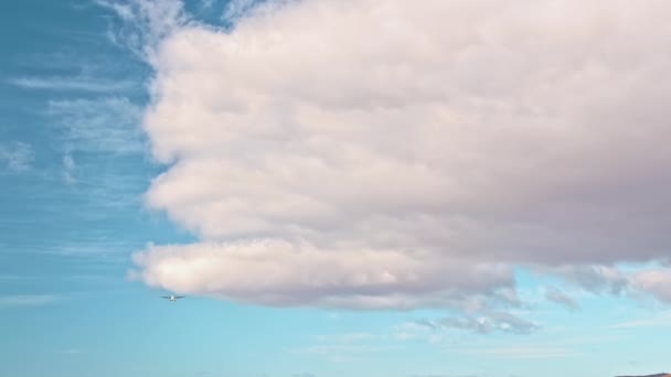 El avión turbohélice vuela desde lejos más allá de la cámara. El concepto de transporte de mercancías, transporte, entrega . — Vídeos de Stock