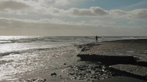 Silhouet van een eenzaam persoon op de oever van een woeste en stormachtige oceaan. Het concept van romantiek, eenzaamheid — Stockvideo