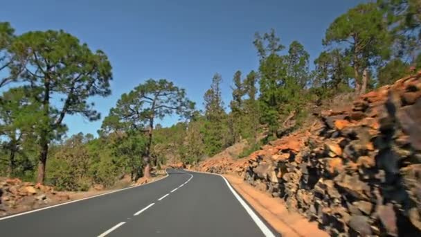 塗装道路のマーキングと山道で新しい、新鮮な、完全に敷設アスファルトコーティング。ロッキーの風景。火星や他の惑星の植民地化や着陸を示すために使用することができます — ストック動画