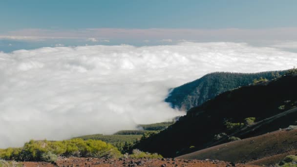 Hermoso paisaje con un mar de nubes y el bosque. Paisaje con un mar de nubes sobre un valle y el bosque que cubre una cresta de montaña — Vídeo de stock