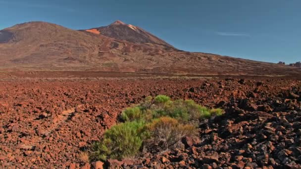 Teide vulkan Kanarieöarna. Vulkaniska landskap. Röd sten rock och topp kulle i bakgrunden. Det kan användas för att illustrera livet på Mars, landa astronauter på en annan planet. — Stockvideo