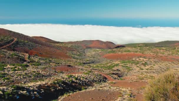 高い山からの雲や森の上の景色。山頂からの雲や森の上のパノラマビュー。テイド火山、カナリア諸島 — ストック動画