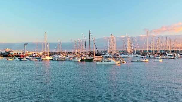 Marina az óceánon. Luxus jachtok kikötve az öbölben. Napnyugta vagy hajnal, a napsugarak gyönyörűen megvilágítják a hajókat. Las Galletas, Tenerife, Kanári-szigetek — Stock videók