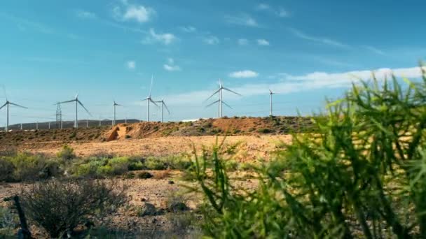 Вітряки - електричні генератори, рослини зелених кущів на передньому плані. Концепція зеленої енергії, вітроенергетики — стокове відео