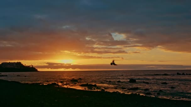 Colorato tramonto drammatico luminoso, alba sull'oceano. Il sole sorge da oltre l'orizzonte, illumina il mare con i raggi. Il cielo multicolore è arancione, giallo, rosa e blu — Video Stock