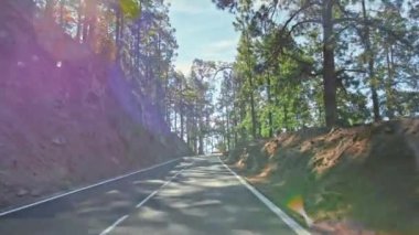 Mükemmel asfalt dağ yolu. Yeni boyanmış yol izleri. Kayalık yol kenarı ve arka planda yeşil kozalaklı ağaçlar. Arabayla dağlara gitme fikri. Güneş ışınları parlıyor