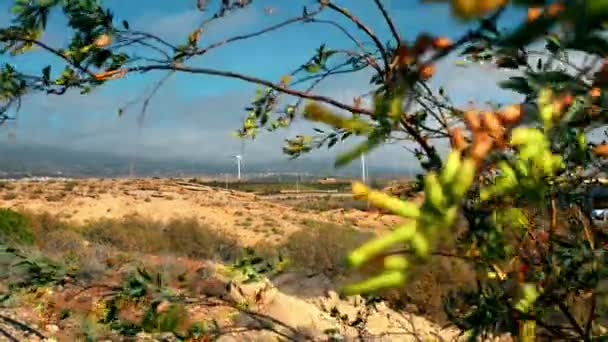 Windmills, turbines of electric generators near the highway with a lot of cars traffic. Green tree plants in the foreground. The concept of green, renewable, clean energy, conservation environmental — Stock Video