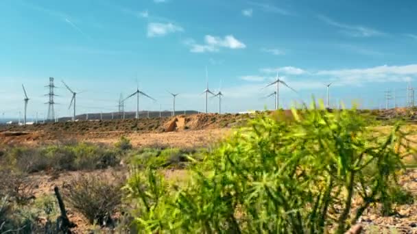 Windmühlen, Turbinen von elektrischen Generatoren. grüne Buschpflanzen im Vordergrund. Hochspannungsleitungen. das Konzept der grünen, erneuerbaren und sauberen Energie — Stockvideo