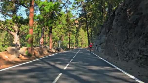 Um ciclista não reconhecido se move em uma estrada de asfalto de montanha. Há um limite de velocidade no quadro. prumo de montanha rochoso na beira da estrada e árvores coníferas verdes no fundo . — Vídeo de Stock