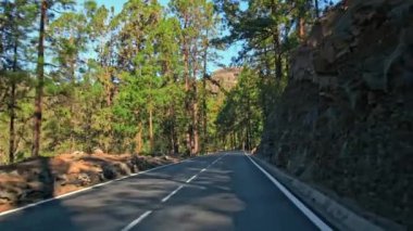 Mükemmel asfalt dağ yolu. Yeni boyanmış yol izleri. Kayalık yol kenarı ve arka planda yeşil kozalaklı ağaçlar. Arabayla dağlara gitme kavramı.