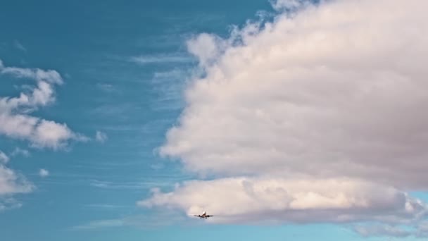 Avión jet está volando. El concepto de aventura, turismo, viajes, vacaciones . — Vídeo de stock