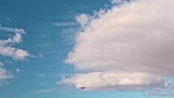 O avião está a voar. O conceito de aventura, turismo, viagens, férias . — Vídeo de Stock