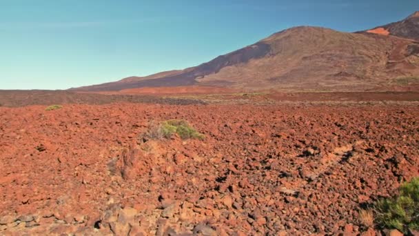 Panorama van het oppervlak van de planeet Mars, concept. Rode steenbedekking, hoge berg, groene struik van woestijnplant. kan worden gebruikt om de kolonisatie van Mars te illustreren, landing van astronauten op exoplaneten — Stockvideo