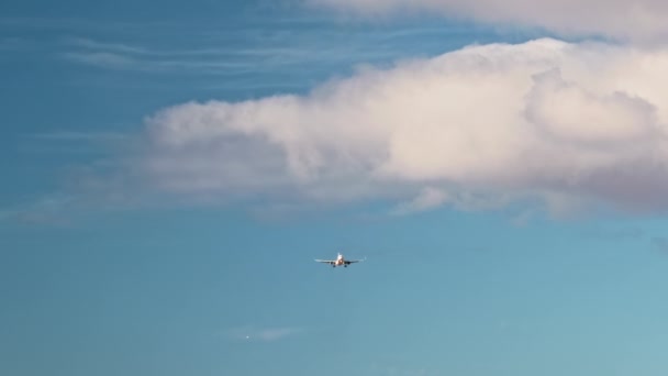 Flugzeuge am Himmel in den Sonnenstrahlen — Stockvideo