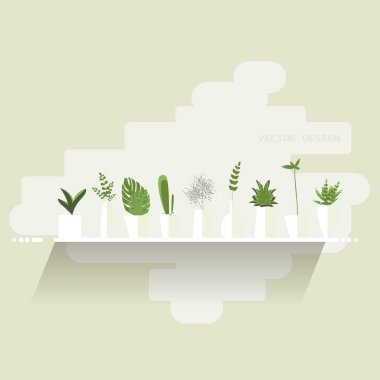 Düz stil renkli houseplants kümesi. Ev Dekoratif bitkiler. Vektör toplama kapalı çiçek.