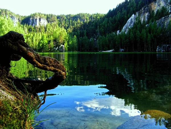 Reflexión del lago en las rocas Adrspach-Teplice, que son un conjunto inusual de formaciones de arenisca en el noreste de Bohemia en la República Checa con un viejo resto del árbol en primer plano — Foto de Stock