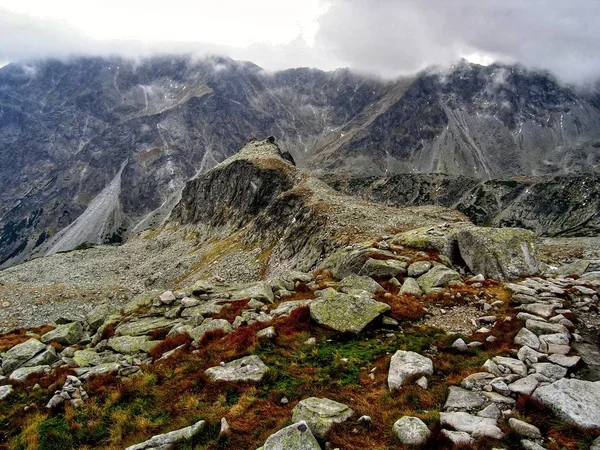 (Vysok 트리, 트리 Wysokie, 마가스-Ttra), 고가 Tatras 산맥 슬로바키아 Preov 지역에서 그리고 적은 폴란드 주에 남부 폴란드의 국경 따라 산 범위는. — 스톡 사진