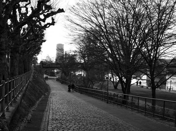 Frankfurt Şehir Nehri Kenarında Almanya — Stok fotoğraf