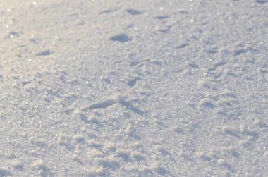 Texture of white snow on a frosty winter morning.