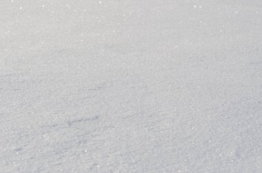Texture of white snow on a frosty winter morning.