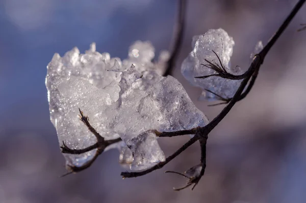 Cristales de hielo contra un cielo brillante de primavera. Hermoso paisaje congelado — Foto de Stock