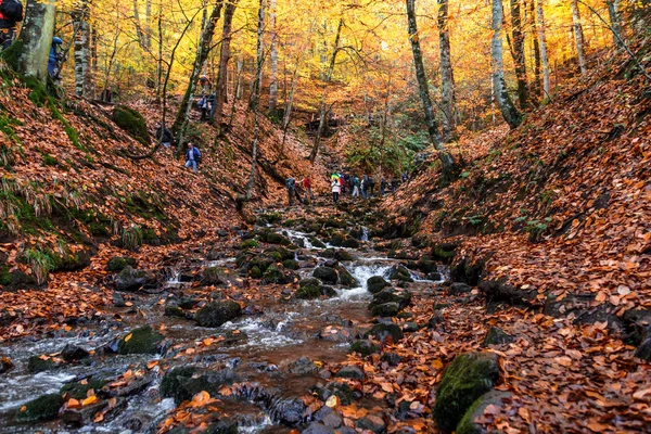 Autumn Season in River — Stock Photo, Image