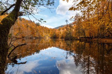 Lake Yedigoller yansıması ile