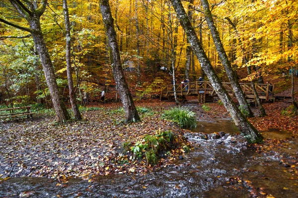 Ponte de madeira com folhas caídas sobre o lago — Fotografia de Stock