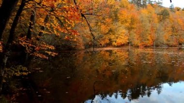Lake Yedigoller yansıması ile