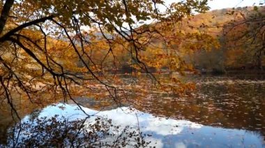 Lake Yedigoller yansıması ile