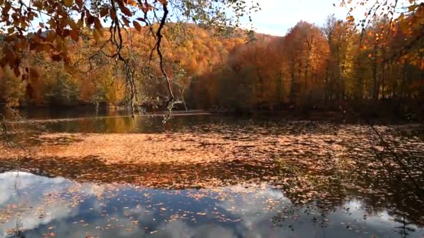 Lake Yedigoller yansıması ile — Stok video