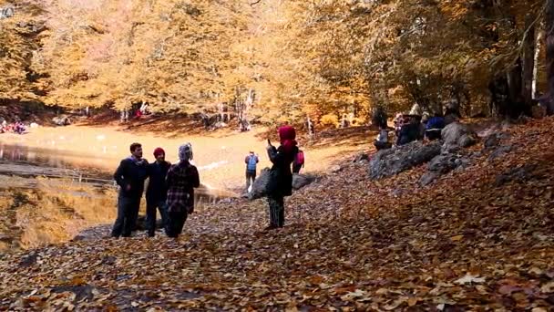 Pessoas caminhando na temporada de outono — Vídeo de Stock