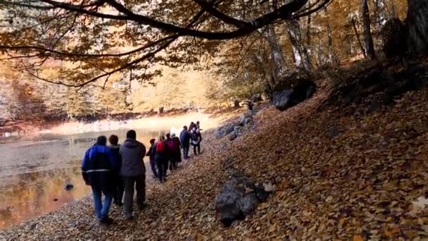 Gente caminando en temporada de otoño — Vídeos de Stock