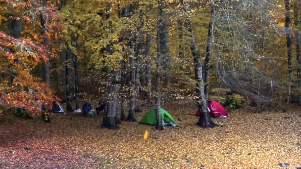 Tienda Camping en Bolu — Vídeos de Stock