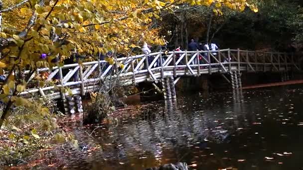 Puente de madera con hojas caídas sobre el lago — Vídeos de Stock