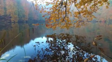 Lake Yedigoller yansıması ile