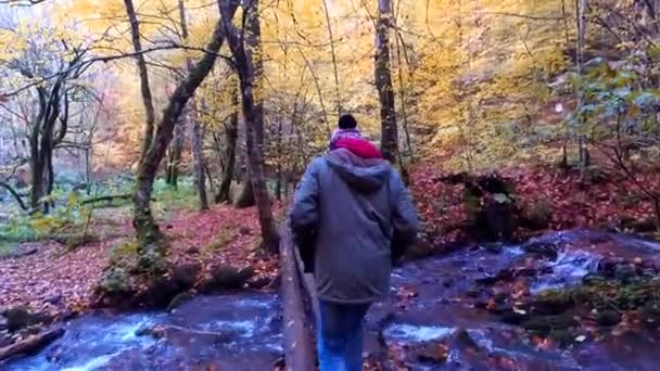 Boy Crossing na madeira sobre o rio — Vídeo de Stock