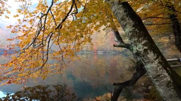 Lago con riflessione in Yedigoller — Video Stock