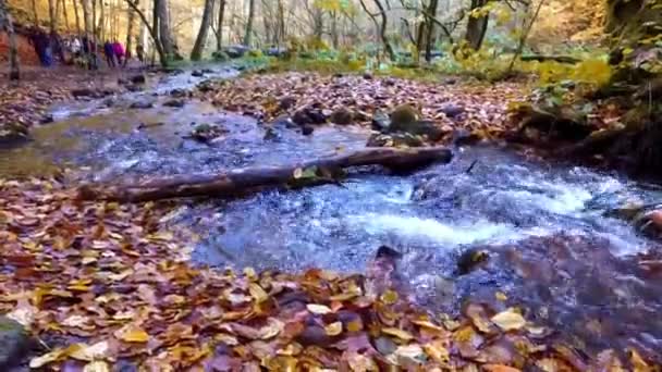 De rivier die stroomt in Yedigoller — Stockvideo