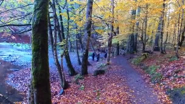 Sendero Caminante en Parque Natural — Vídeo de stock